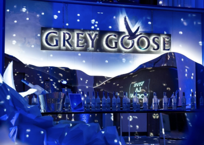 Grey goose X Vogue Greece Winter Wonderland Party