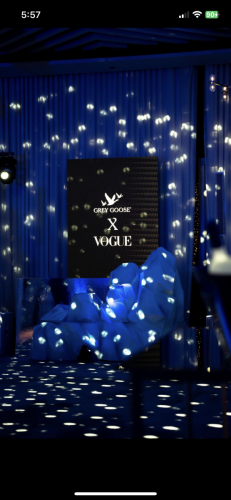 Grey goose X Vogue Greece Winter Wonderland Party-7