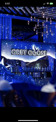 Grey goose X Vogue Greece Winter Wonderland Party-1